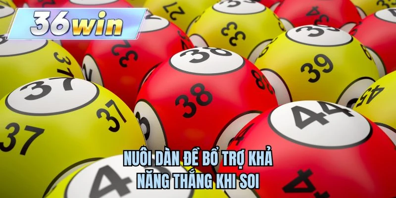 Nuôi dàn đề bổ trợ khả năng thắng khi soi
